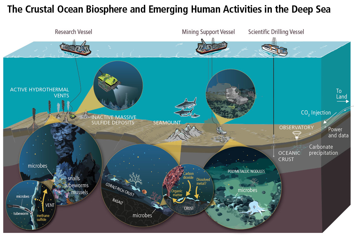 COBRA: A Research Accelerator for the Crustal Ocean Biosphere